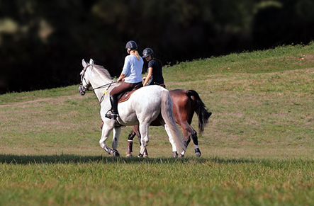 Horse riding